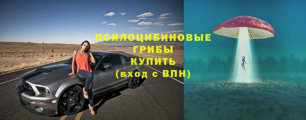 таблы Белокуриха