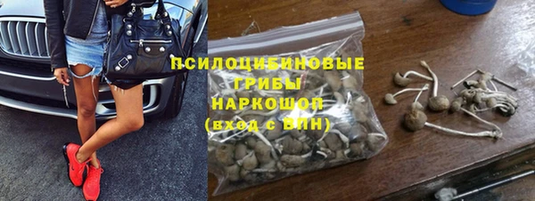 дживик Белоозёрский