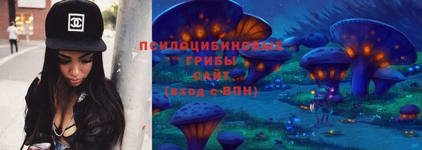 2c-b Беломорск