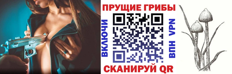 Псилоцибиновые грибы Psilocybe  мега ССЫЛКА  Очёр 